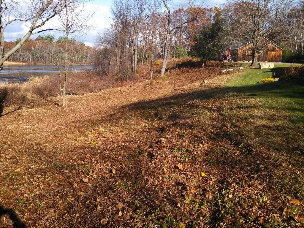 A sloped, leaf-covered yard bordered by trees and a pond, with a house and driveway visible in the background on the right.
